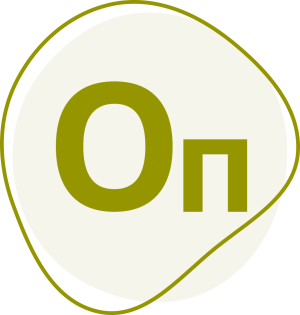 Model Studio CS ОПС