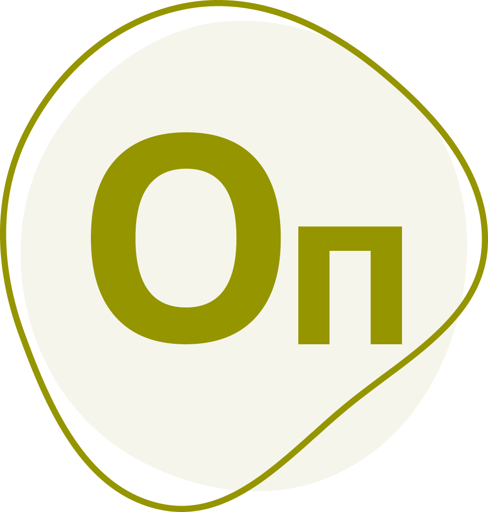 Model Studio CS ОПС